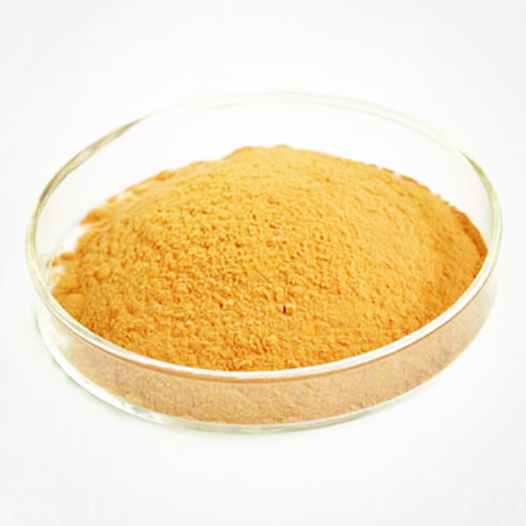 40_ 90_ Soy Isoflavones from Soybean Extract